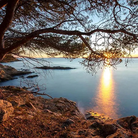 Saint-raphaël, 1 Pièce, 2 Personnes - Fr-1-466a-15 Appartement *